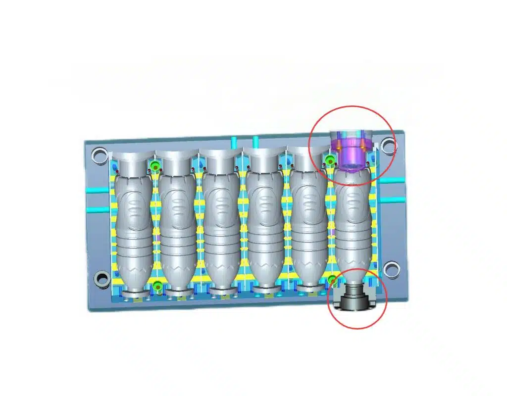 Petmold 4